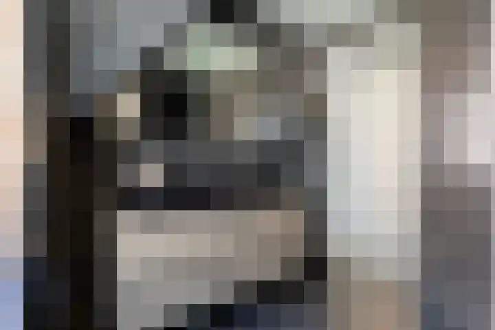 Koninginnelaan 17 Apeldoorn thumbnail 21