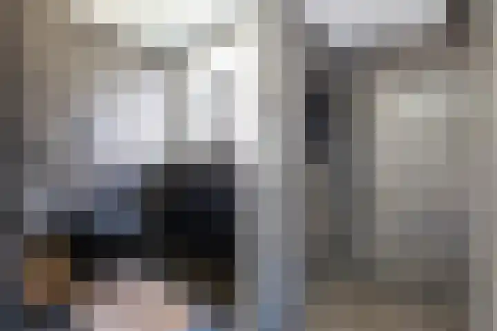 Koninginnelaan 17 Apeldoorn thumbnail 22