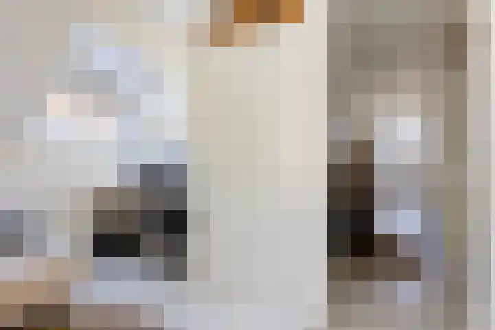 Koninginnelaan 17 Apeldoorn thumbnail 23