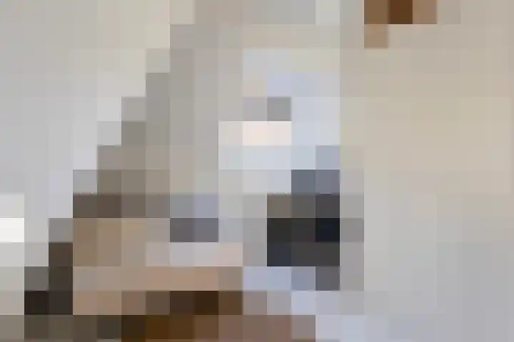 Koninginnelaan 17 Apeldoorn thumbnail 24