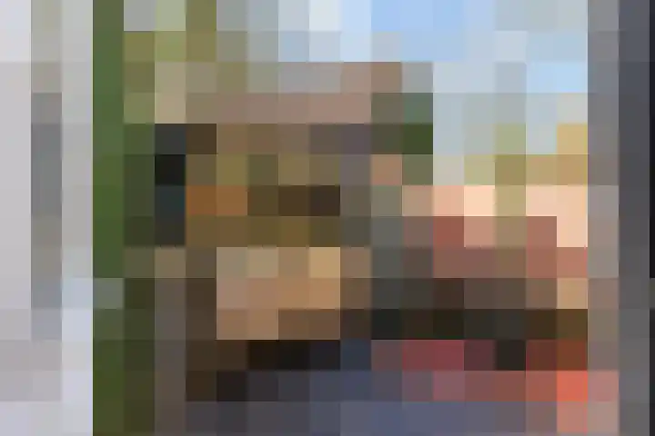 Koninginnelaan 17 Apeldoorn thumbnail 26