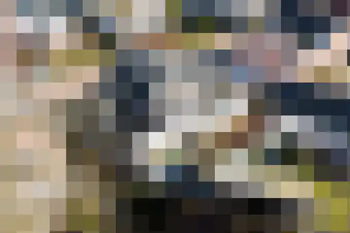 Koninginnelaan 17 Apeldoorn thumbnail 29