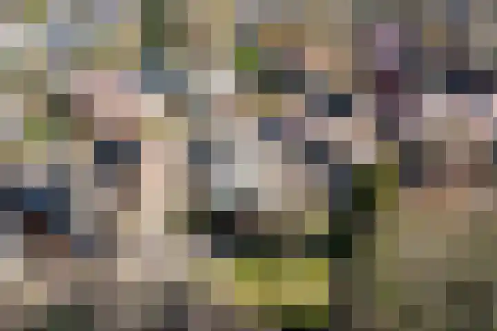Koninginnelaan 17 Apeldoorn thumbnail 30
