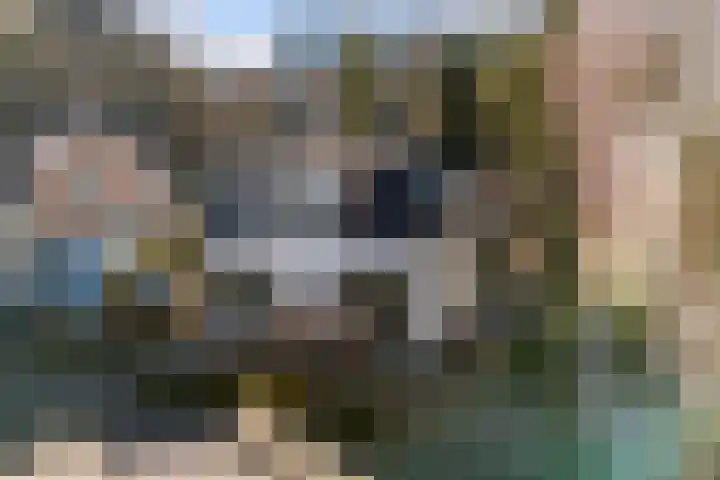 Koninginnelaan 17 Apeldoorn thumbnail 32