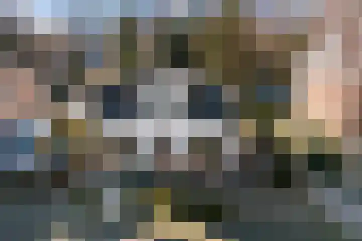 Koninginnelaan 17 Apeldoorn thumbnail 33