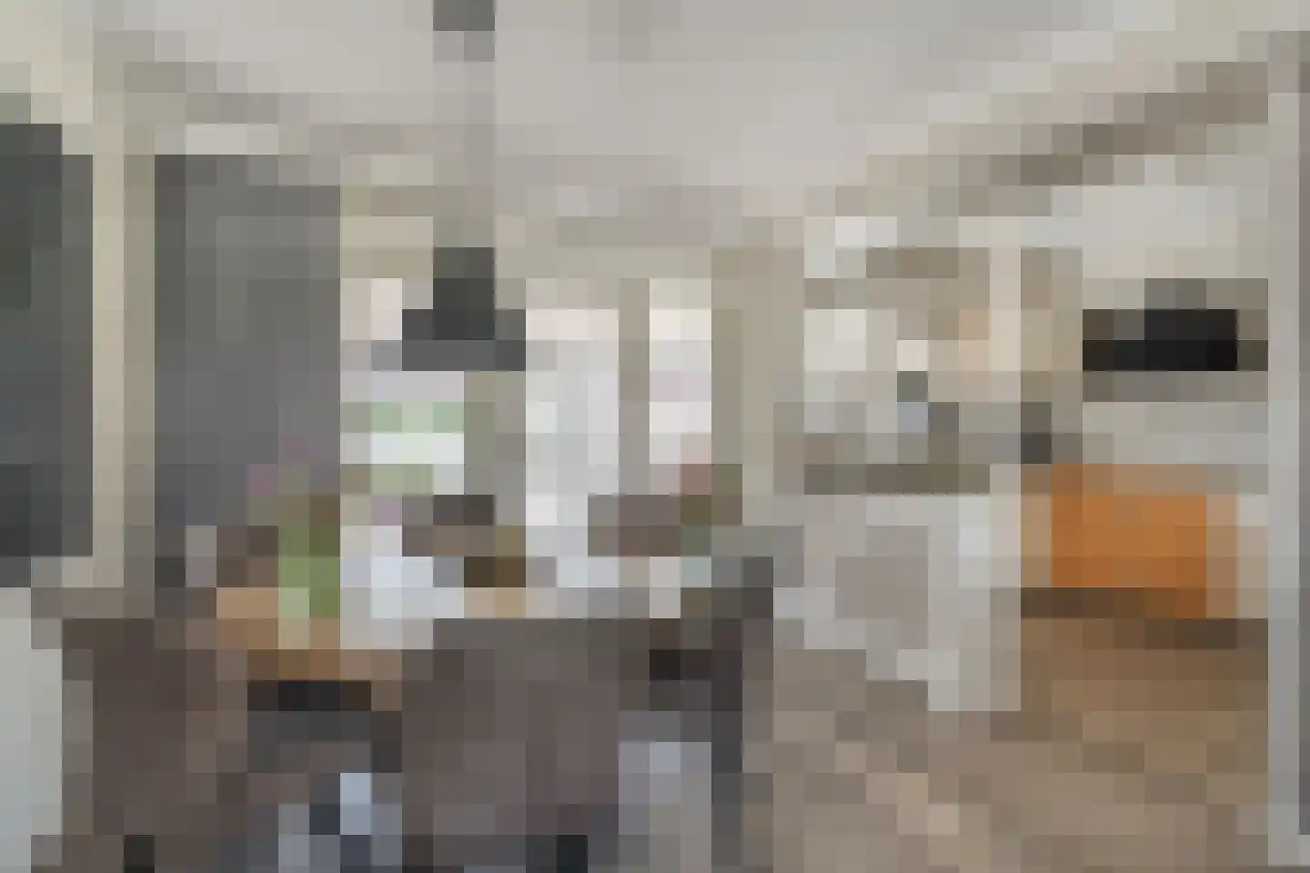 Koninginnelaan 17 Rossum thumbnail 11