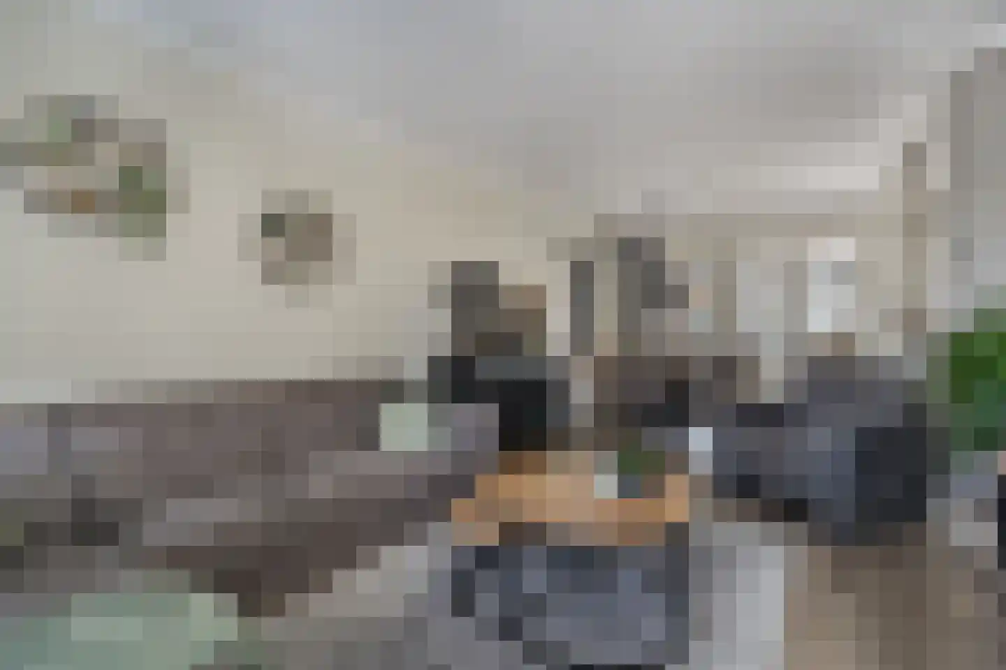 Koninginnelaan 17 Rossum thumbnail 12