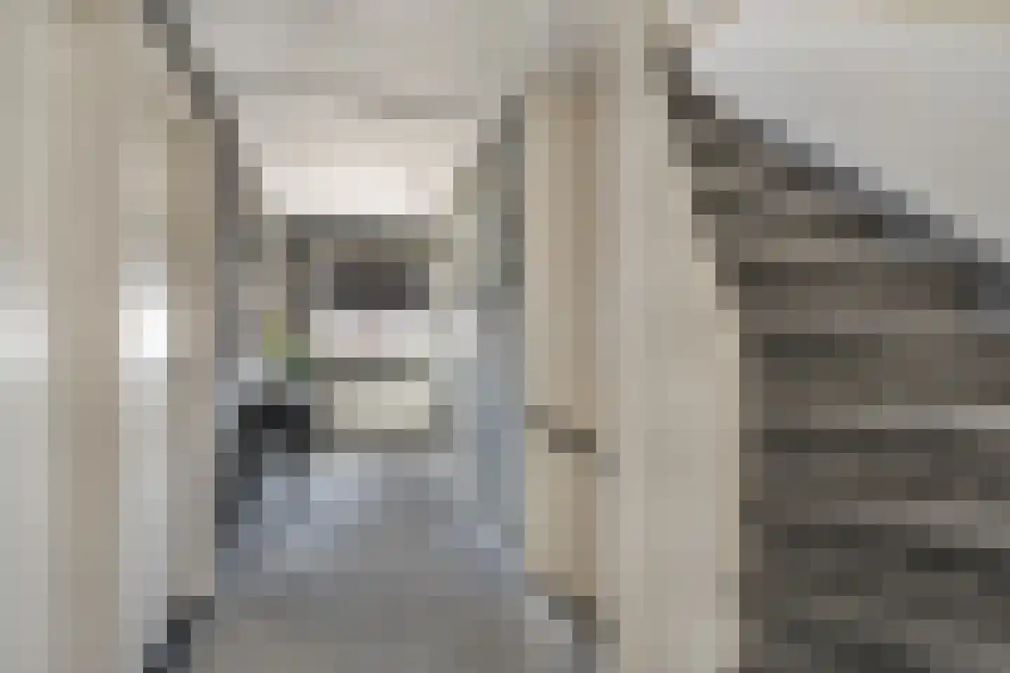 Koninginnelaan 17 Rossum thumbnail 14