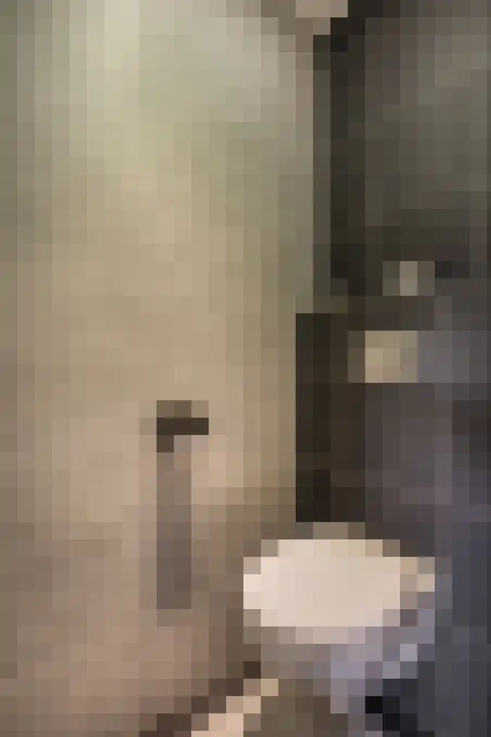 Koninginnelaan 17 Rossum thumbnail 15
