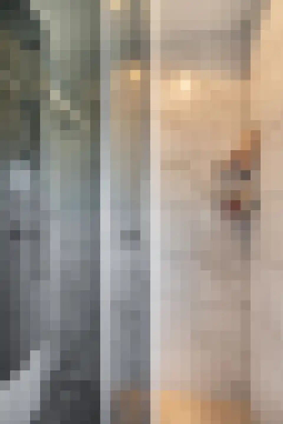 Koninginnelaan 17 Rossum thumbnail 18