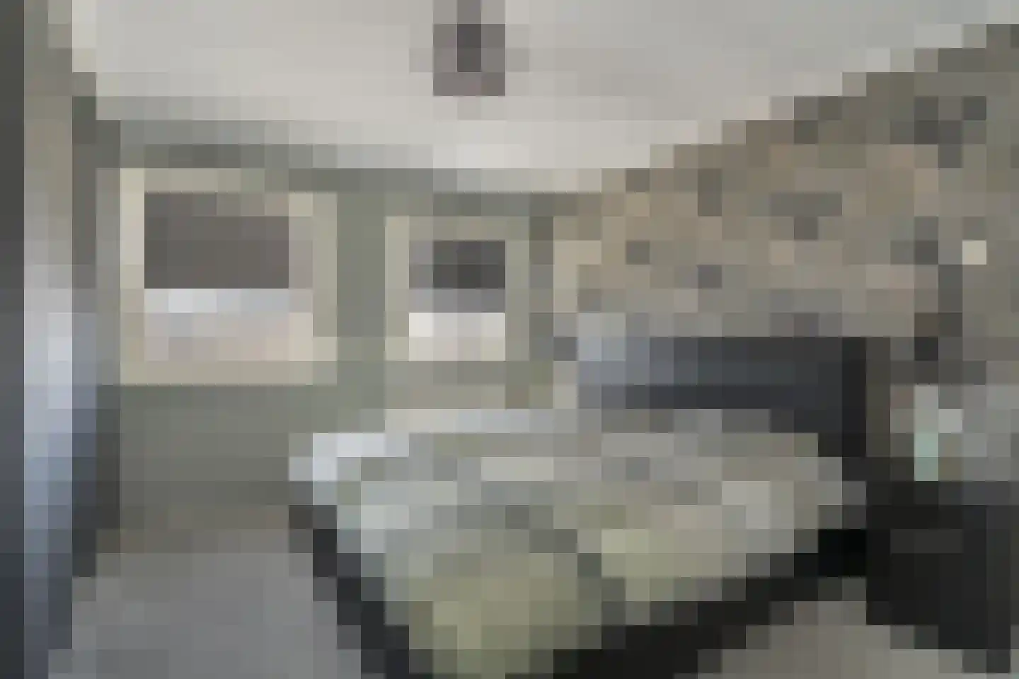 Koninginnelaan 17 Rossum thumbnail 19