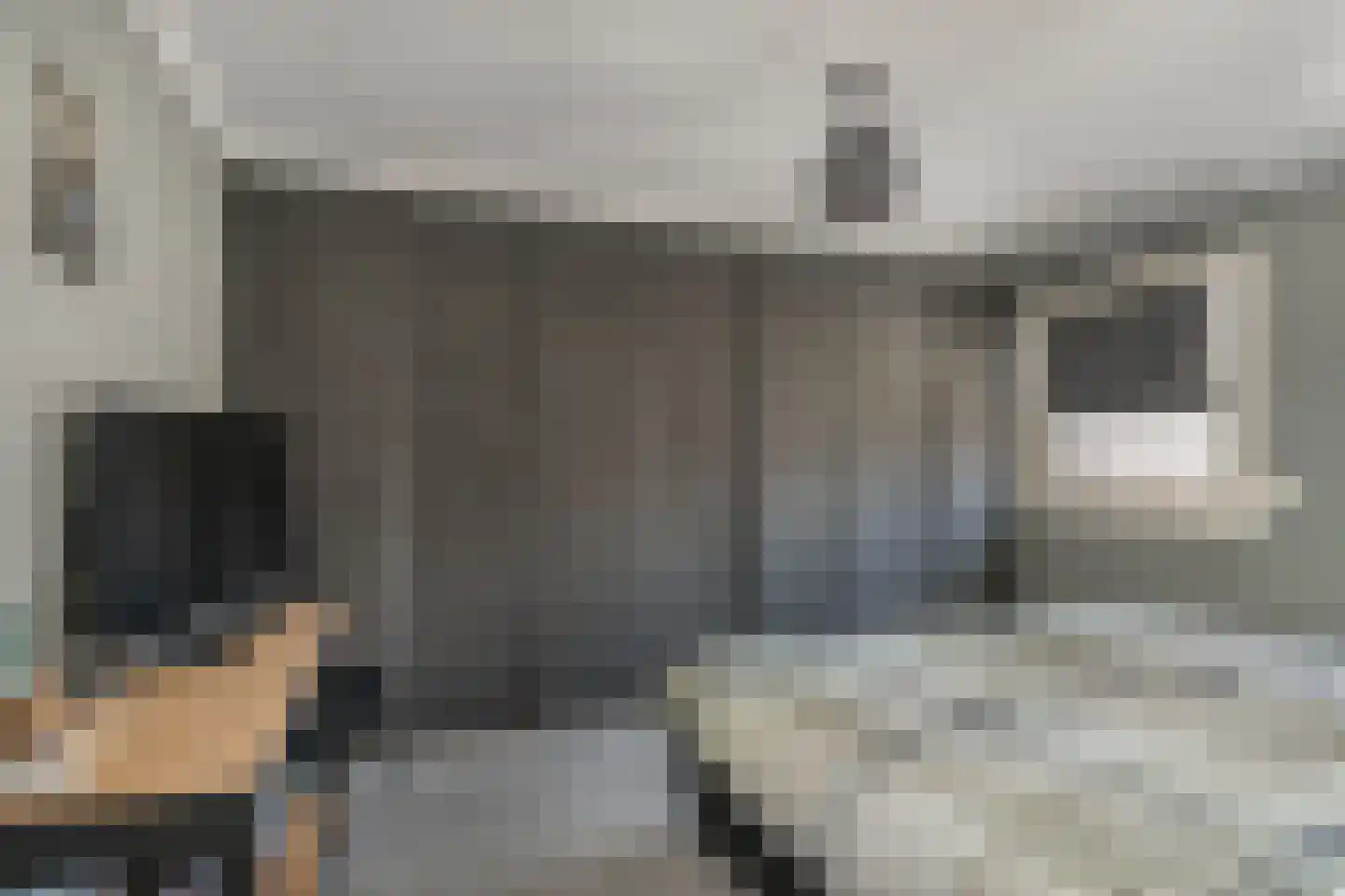 Koninginnelaan 17 Rossum thumbnail 20