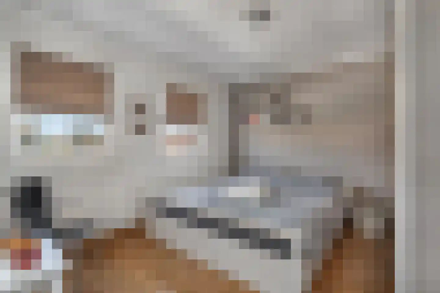Koninginnelaan 17 Rossum thumbnail 21