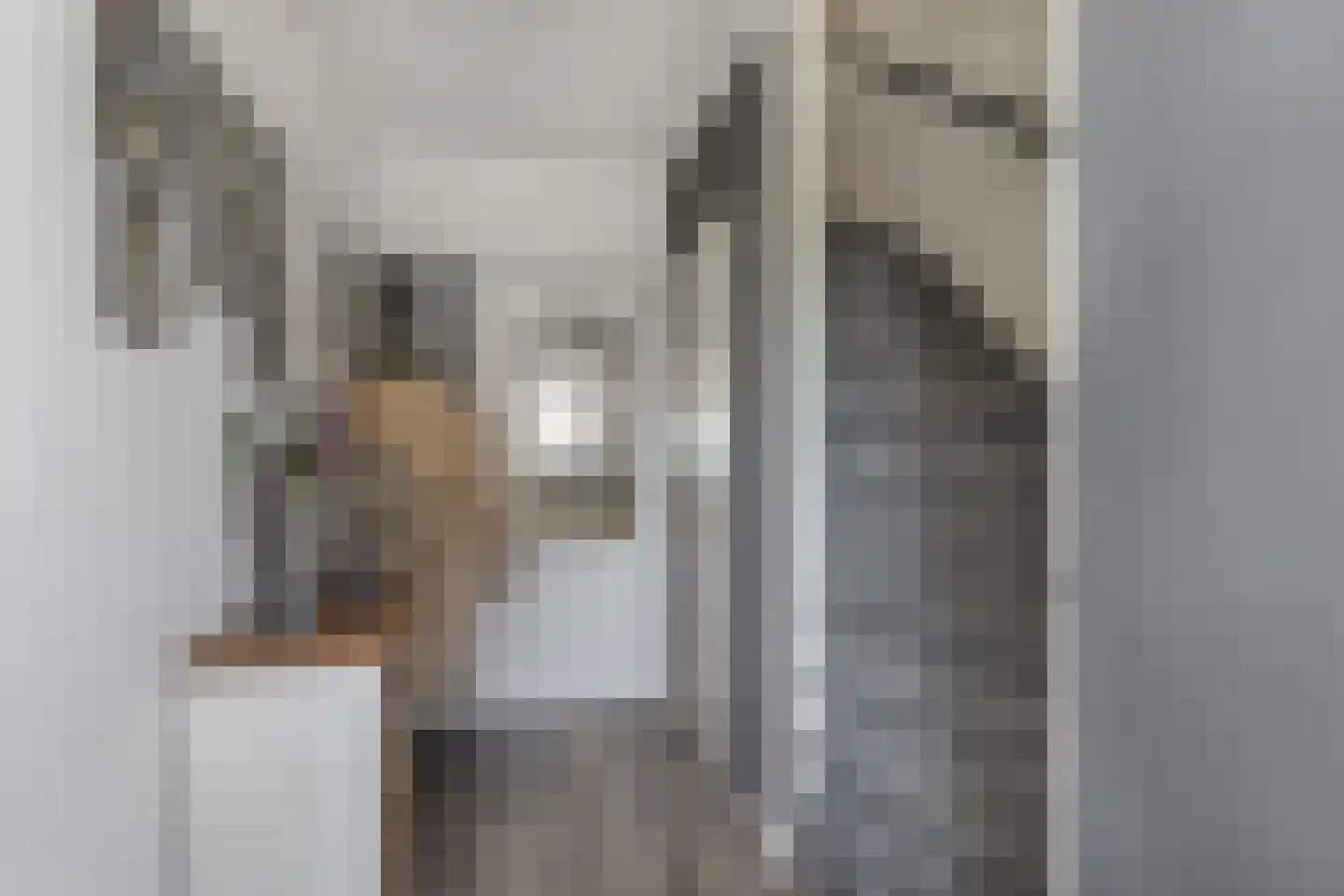 Koninginnelaan 17 Rossum thumbnail 7