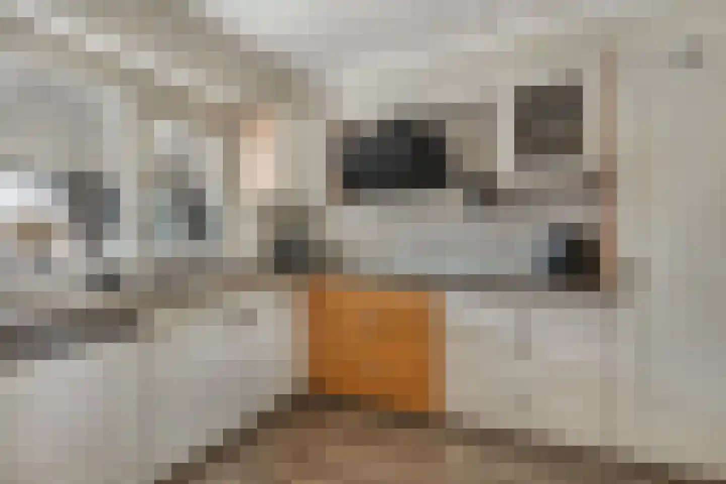 Koninginnelaan 17 Rossum thumbnail 9