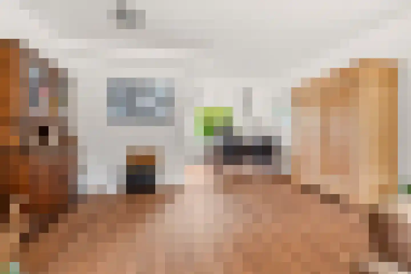 Koninginnelaan 17 Sint-Oedenrode thumbnail 10