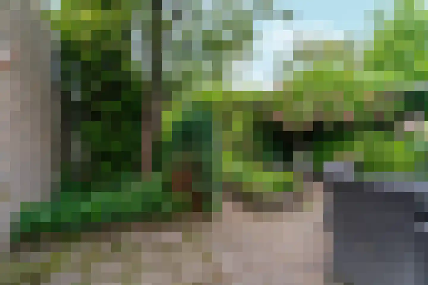 Koninginnelaan 17 Sint-Oedenrode thumbnail 33
