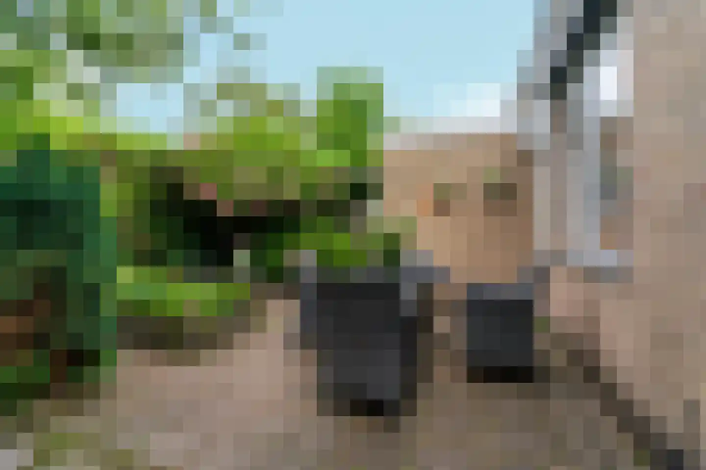 Koninginnelaan 17 Sint-Oedenrode thumbnail 35