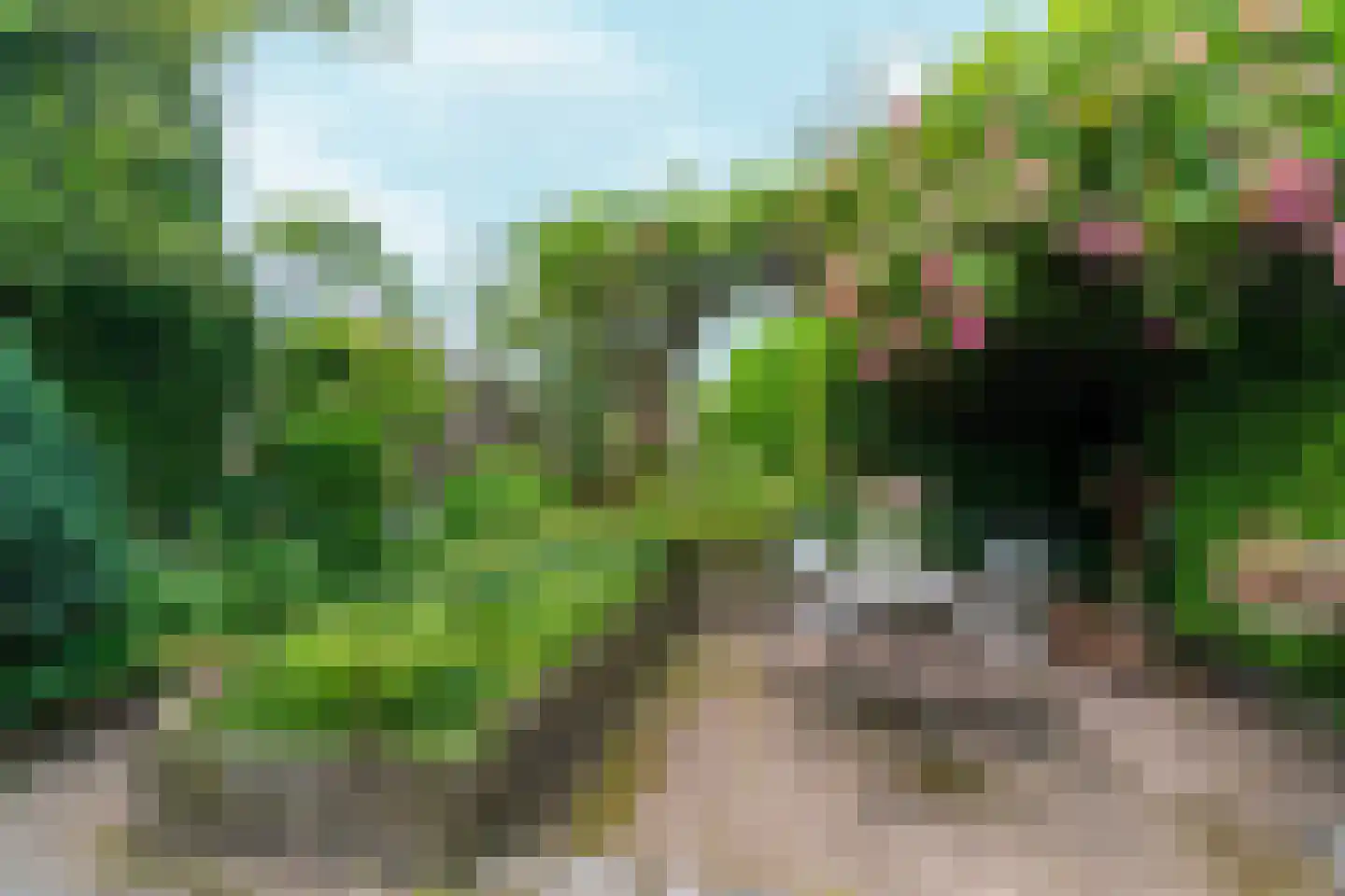 Koninginnelaan 17 Sint-Oedenrode thumbnail 37