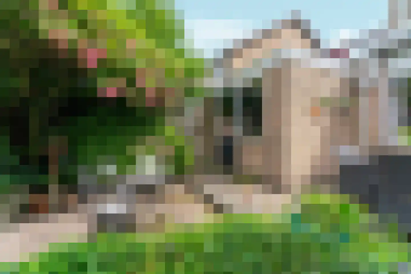 Koninginnelaan 17 Sint-Oedenrode thumbnail 38