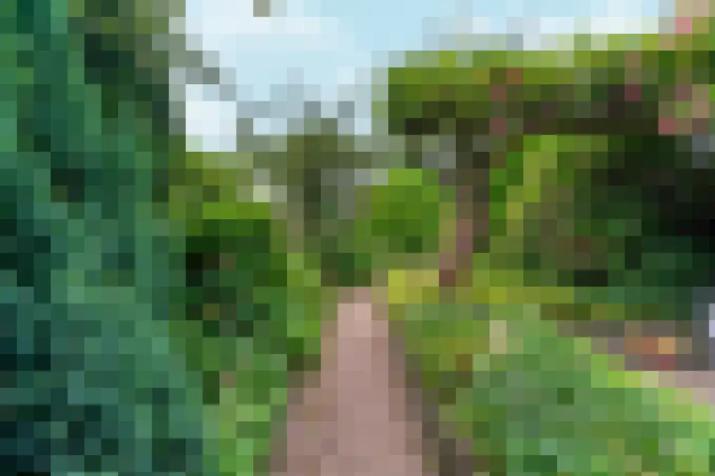 Koninginnelaan 17 Sint-Oedenrode thumbnail 39