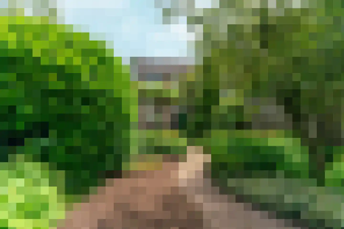 Koninginnelaan 17 Sint-Oedenrode thumbnail 4