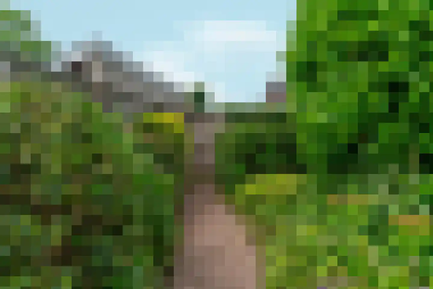 Koninginnelaan 17 Sint-Oedenrode thumbnail 42