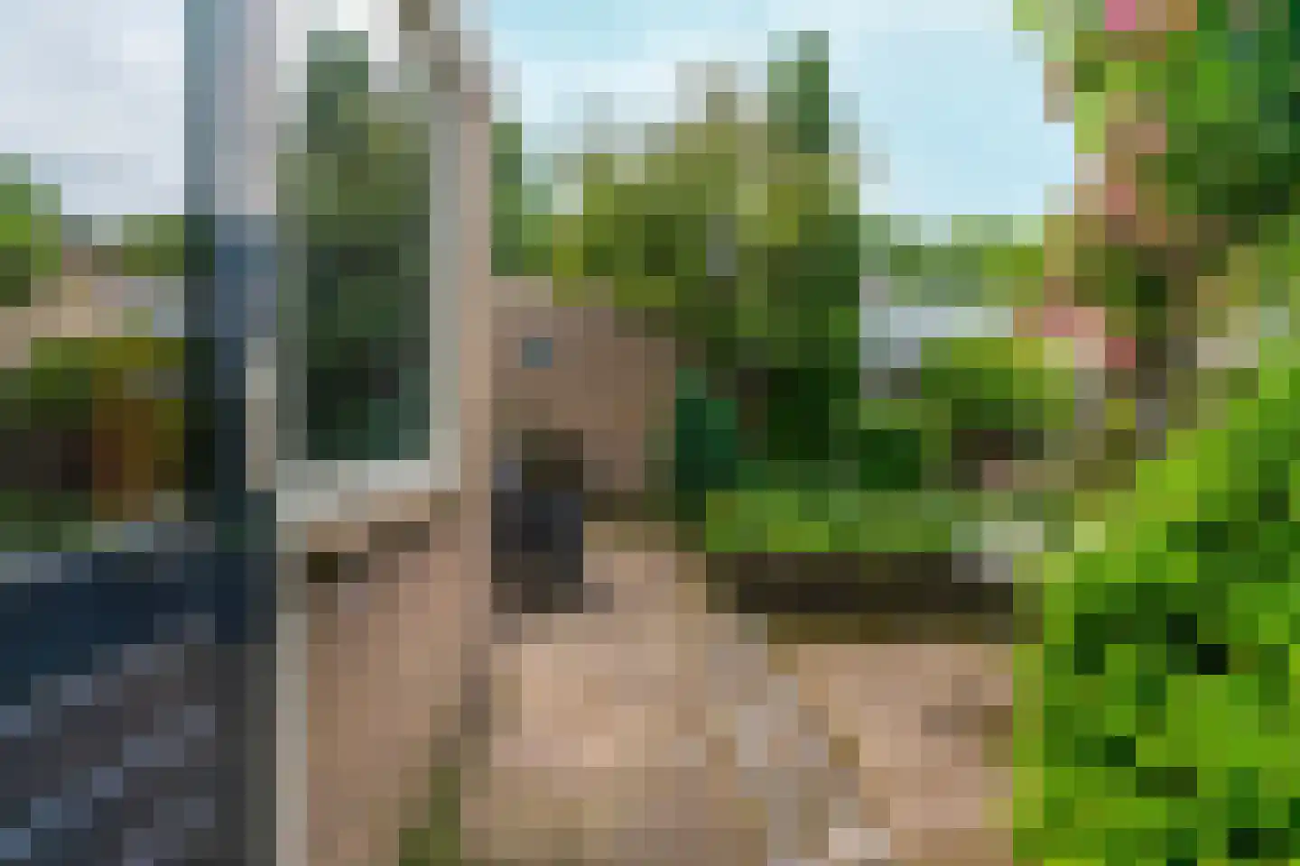 Koninginnelaan 17 Sint-Oedenrode thumbnail 46