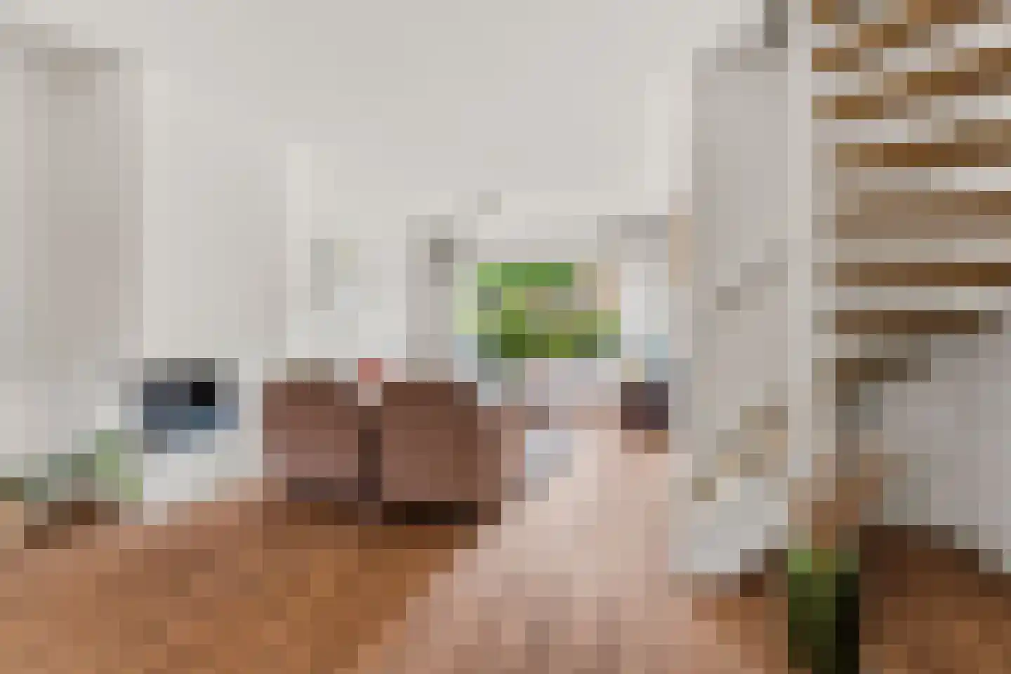 Koninginnelaan 17 Sint-Oedenrode thumbnail 9