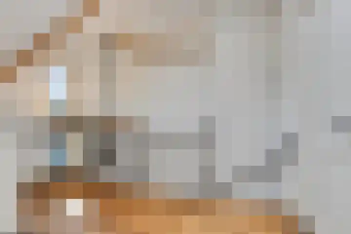 Koninginnelaan 197 Nijmegen thumbnail 19