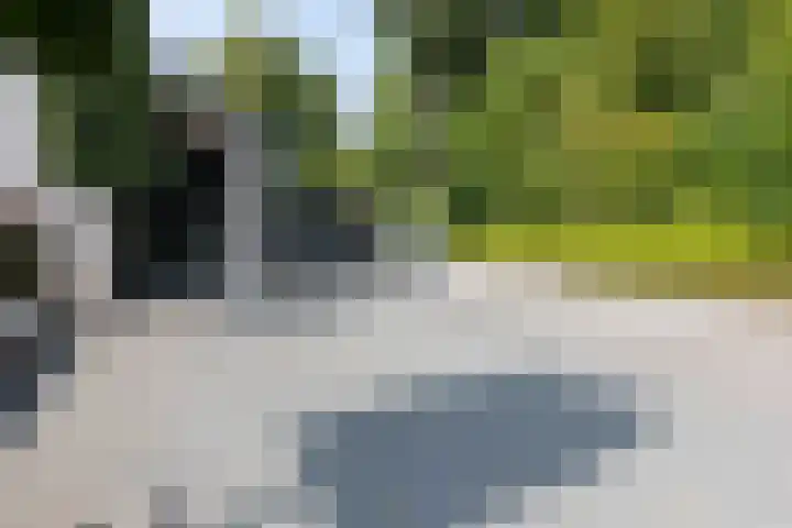 Koninginnelaan 2 Doetinchem thumbnail 14