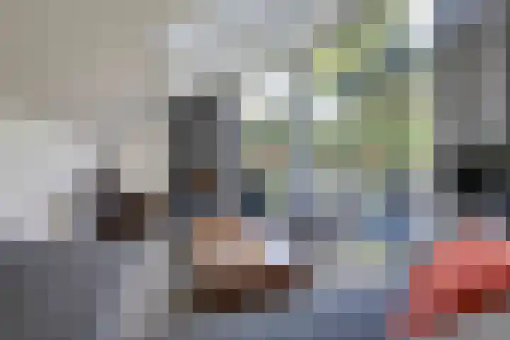 Koninginnelaan 2 Doetinchem thumbnail 27