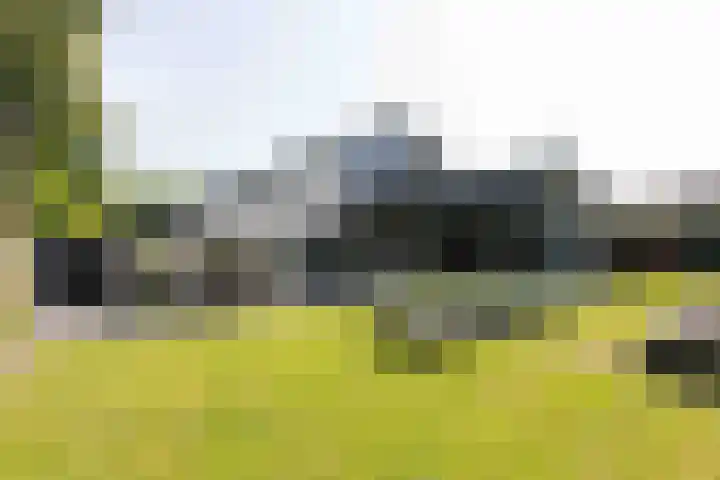 Koninginnelaan 2 Doetinchem foto 3