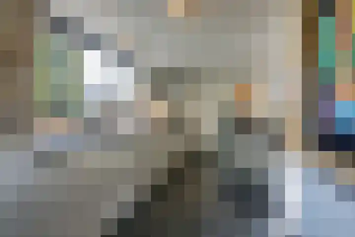 Koninginnelaan 2 Doetinchem thumbnail 38