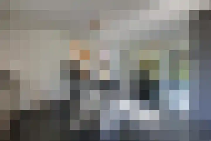Koninginnelaan 2 Doetinchem thumbnail 39