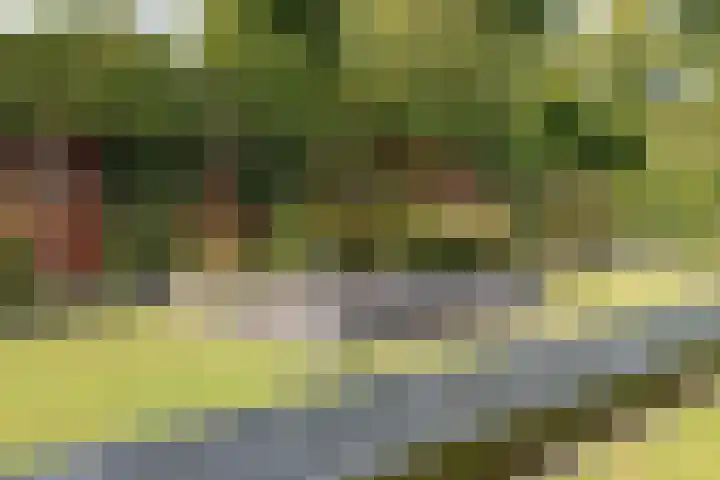 Koninginnelaan 2 Doetinchem thumbnail 4