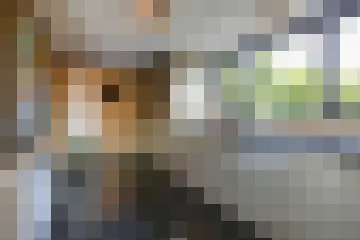 Koninginnelaan 2 Doetinchem thumbnail 41