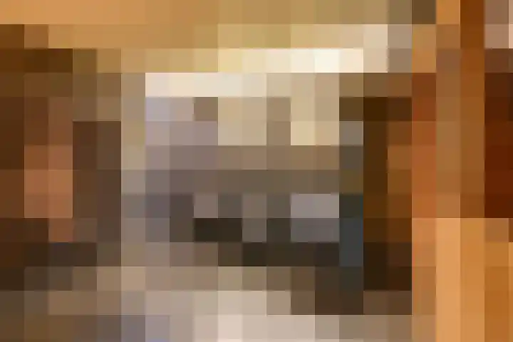 Koninginnelaan 2 Doetinchem thumbnail 49