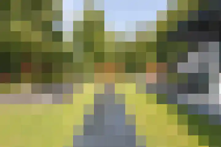 Koninginnelaan 2 Doetinchem thumbnail 5