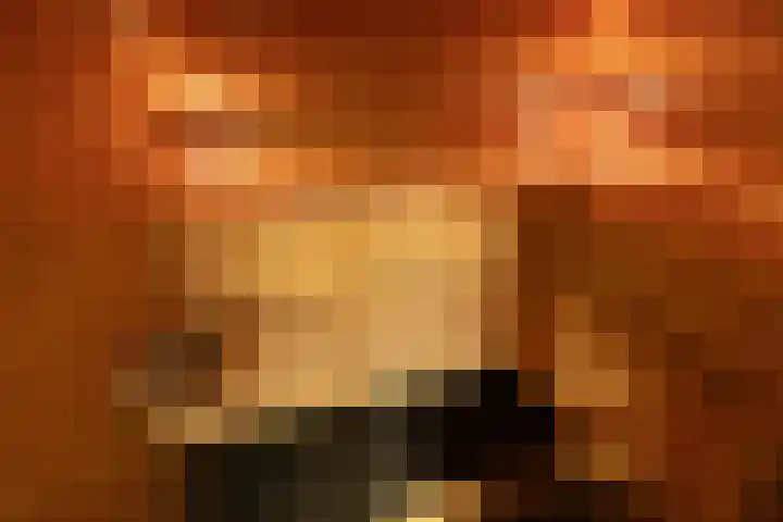 Koninginnelaan 2 Doetinchem thumbnail 50