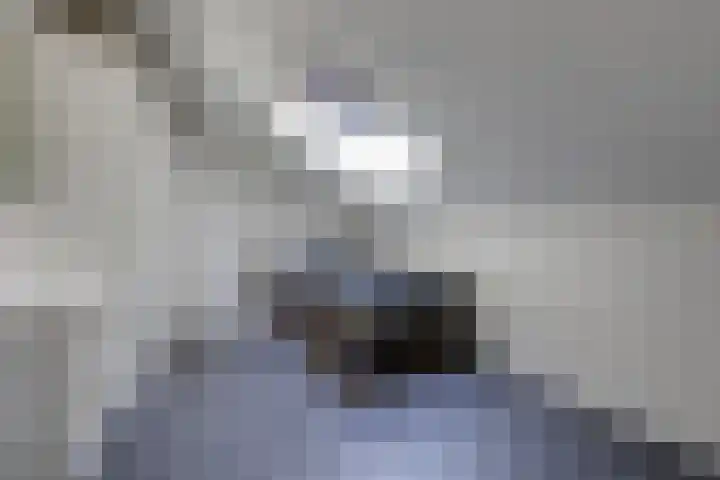 Koninginnelaan 2 Doetinchem thumbnail 56