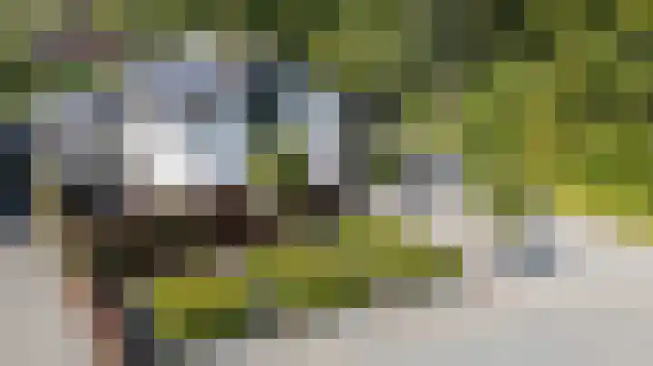 Koninginnelaan 2 Doetinchem thumbnail 6