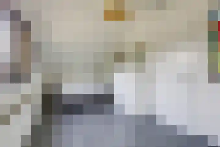Koninginnelaan 2 Doetinchem thumbnail 65