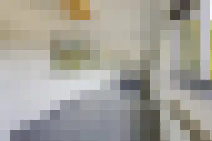 Koninginnelaan 2 Doetinchem thumbnail 67