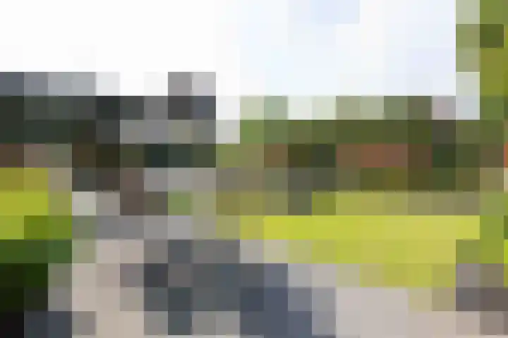 Koninginnelaan 2 Doetinchem thumbnail 69
