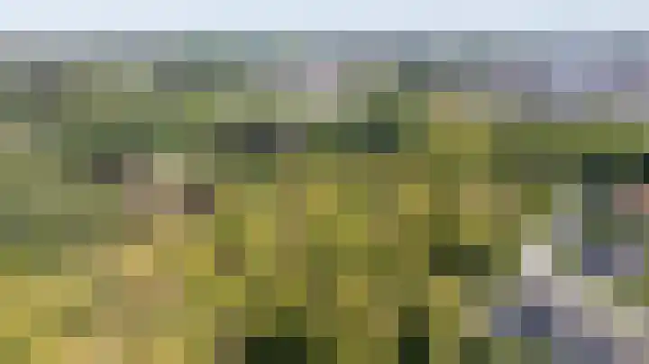 Koninginnelaan 2 Doetinchem thumbnail 7