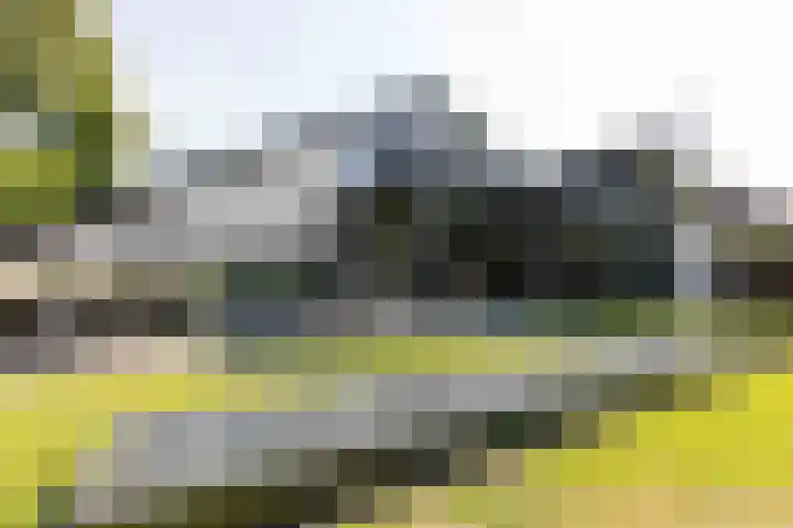 Koninginnelaan 2 Doetinchem thumbnail 71