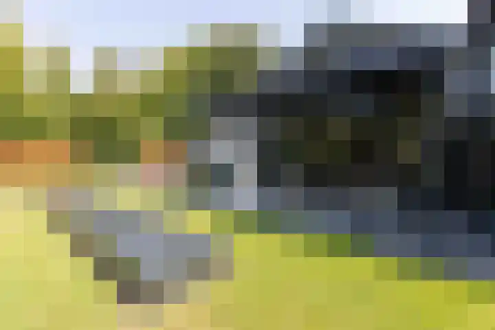 Koninginnelaan 2 Doetinchem thumbnail 72