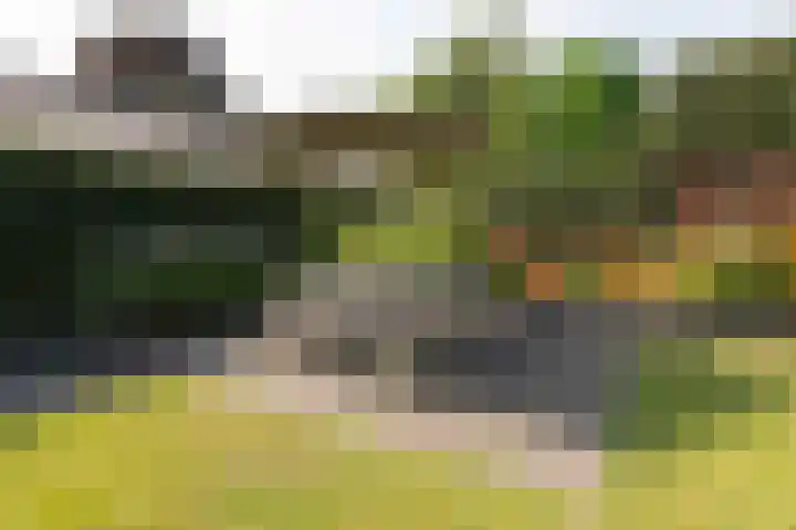 Koninginnelaan 2 Doetinchem thumbnail 74