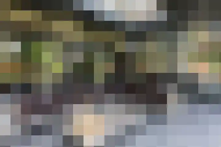 Koninginnelaan 2 Doetinchem thumbnail 75